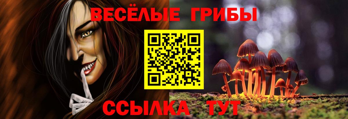 Татарск  Галлюциногенные грибы Psilocybine cubensis  Вход с VPN 